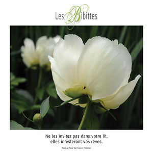 LES BIBITTES 11
