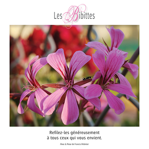 LES BIBITTES 12