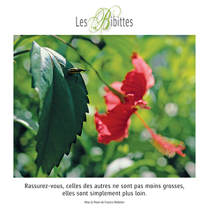 LES BIBITTES 4