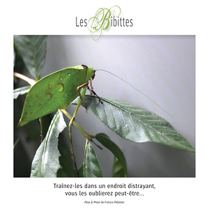 LES BIBITTES 9