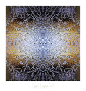 RELIEF 5
