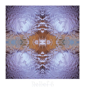 RELIEF 6