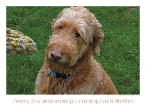 AVERTISSEMENT
