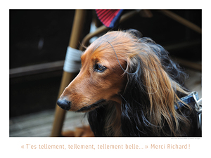 LES MECHES