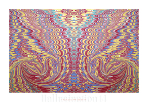 HALLUCINATION 14