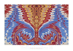 HALLUCINATION 16