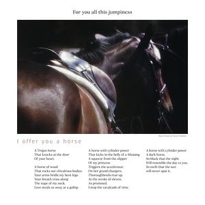 I OFFER YOU A HORSE