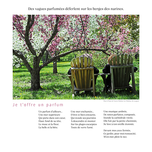 JE T OFFRE UN PARFUM