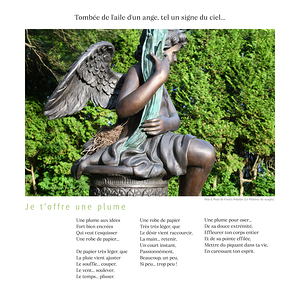 JE T OFFRE UNE PLUME