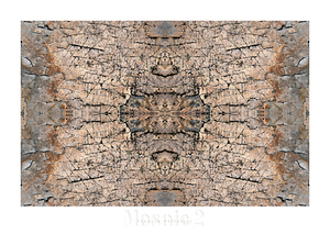 MOSAIC 2