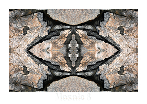 MOSAIC 8