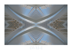 OVNI 4