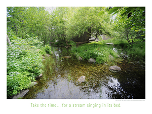 TAKE THE TIME FOR A STREAM