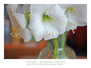 THE GENIUS OF SIMPLICITY