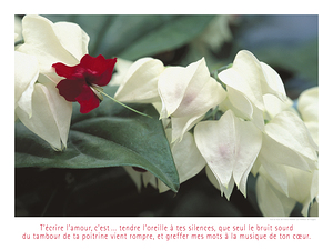 LES CACHE COEURS