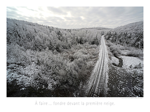 LA VOIE GLACEE