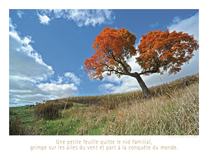 LE GRAND VOYAGE