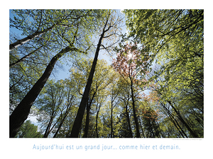 HETRE OU NE PAS