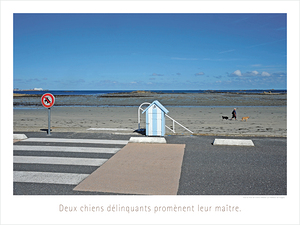 LES DELINQUANTS