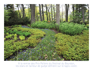 LES PRIX POLLENS DU FESTIVAL D ETE
