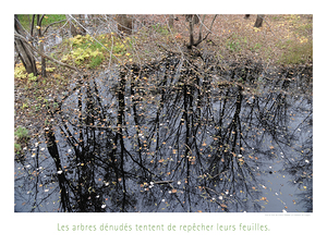LE REPECHAGE