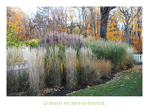 LE JARDIN DES COULEURS
