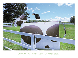 LE CORBEAU ET LA VACHE