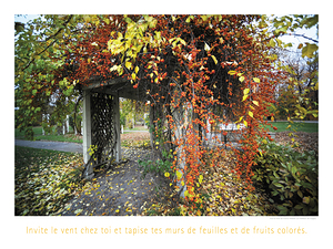 TAPISSERIE 3D
