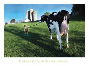 MON ANIMAL DE COMPAGNIE
