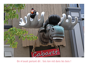 TU BOIS TROP