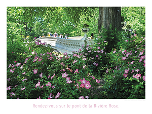 LE PONT DE LA RIVIERE ROSE 