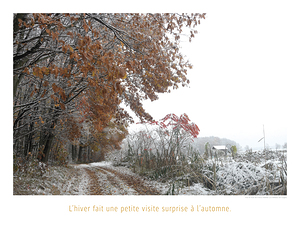 DECEMBRE CHEZ NOVEMBRE