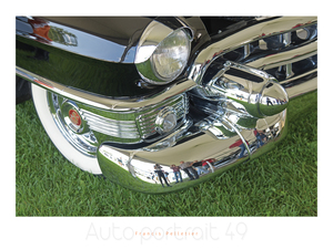 AUTO PORTRAIT 49