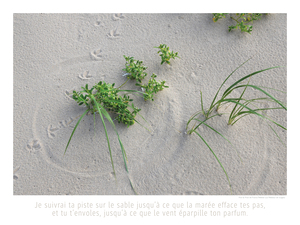 TES PAS SUR LE SABLE