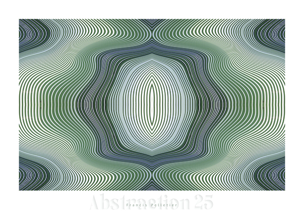ABSTRACTION 25