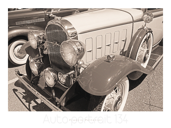 AUTO PORTRAIT 134 Print