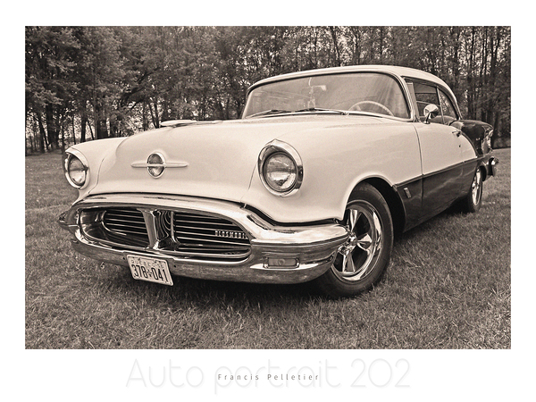 AUTO PORTRAIT 202 Print