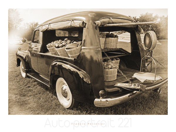 AUTO PORTRAIT 221 Print