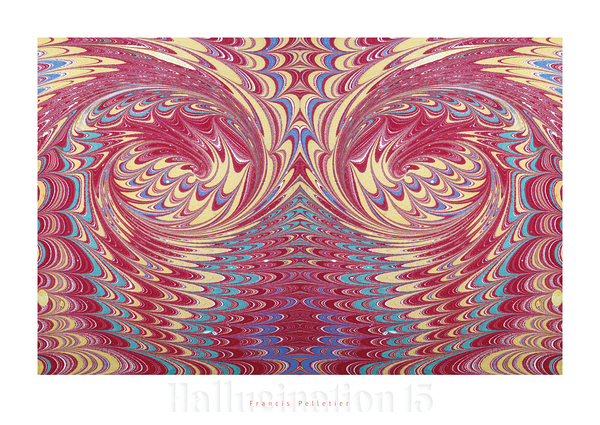 HALLUCINATION 15 Print