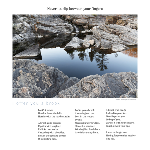 I OFFER YOU A BROOK Print