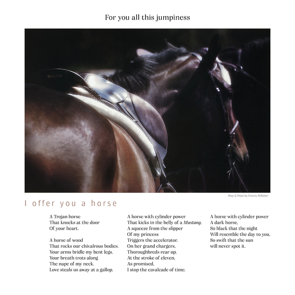 I OFFER YOU A HORSE