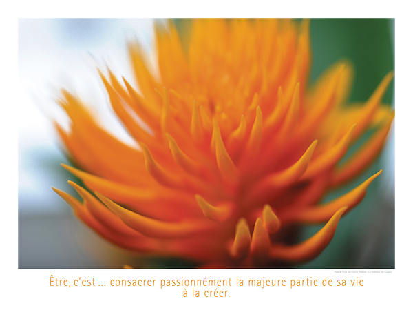 LES DOIGTS DE FEU