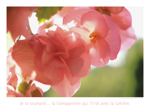 LA TRANSPARENCE