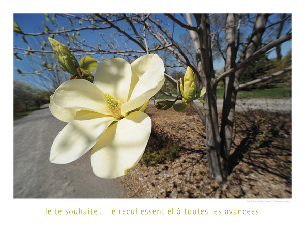 LE RECUL VERS L AVANT