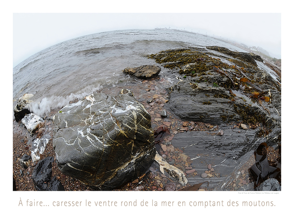 MER EST MERE