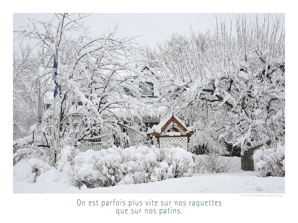 SOUS LA NEIGE