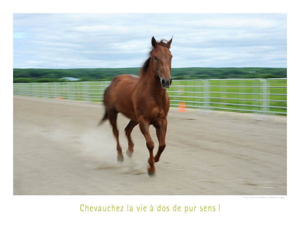 PUR SENS Print