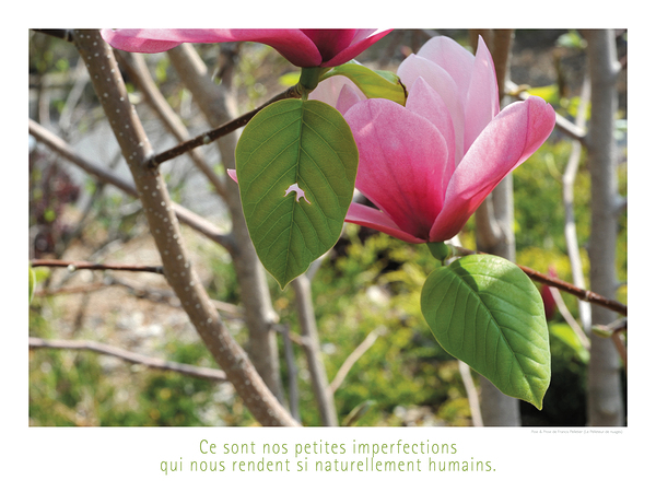 ELOGE DE L IMPERFECTION