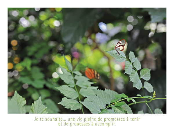 PROMESSES DE PROUESSES