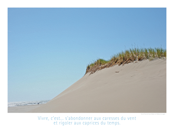 LACHE PRISE